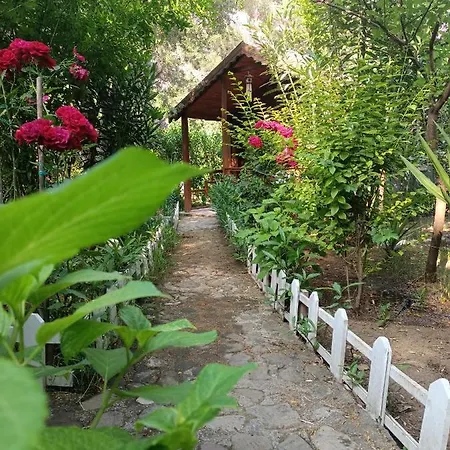 Canario Lodge