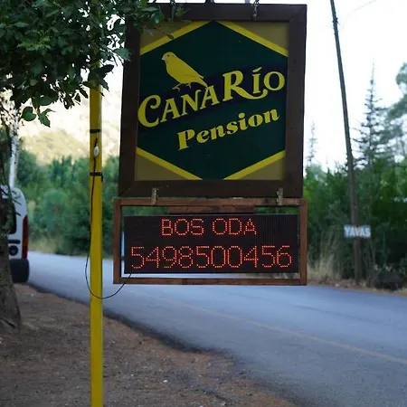 Canario אכסניה