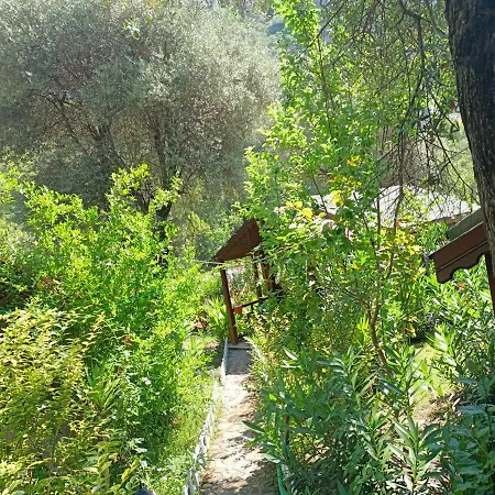 Canario אכסניה Çıralı